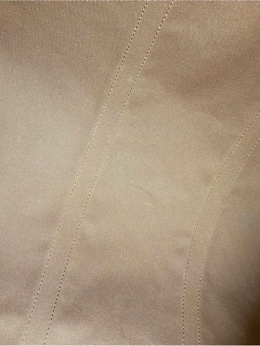 Louis Vuitton iconic louis